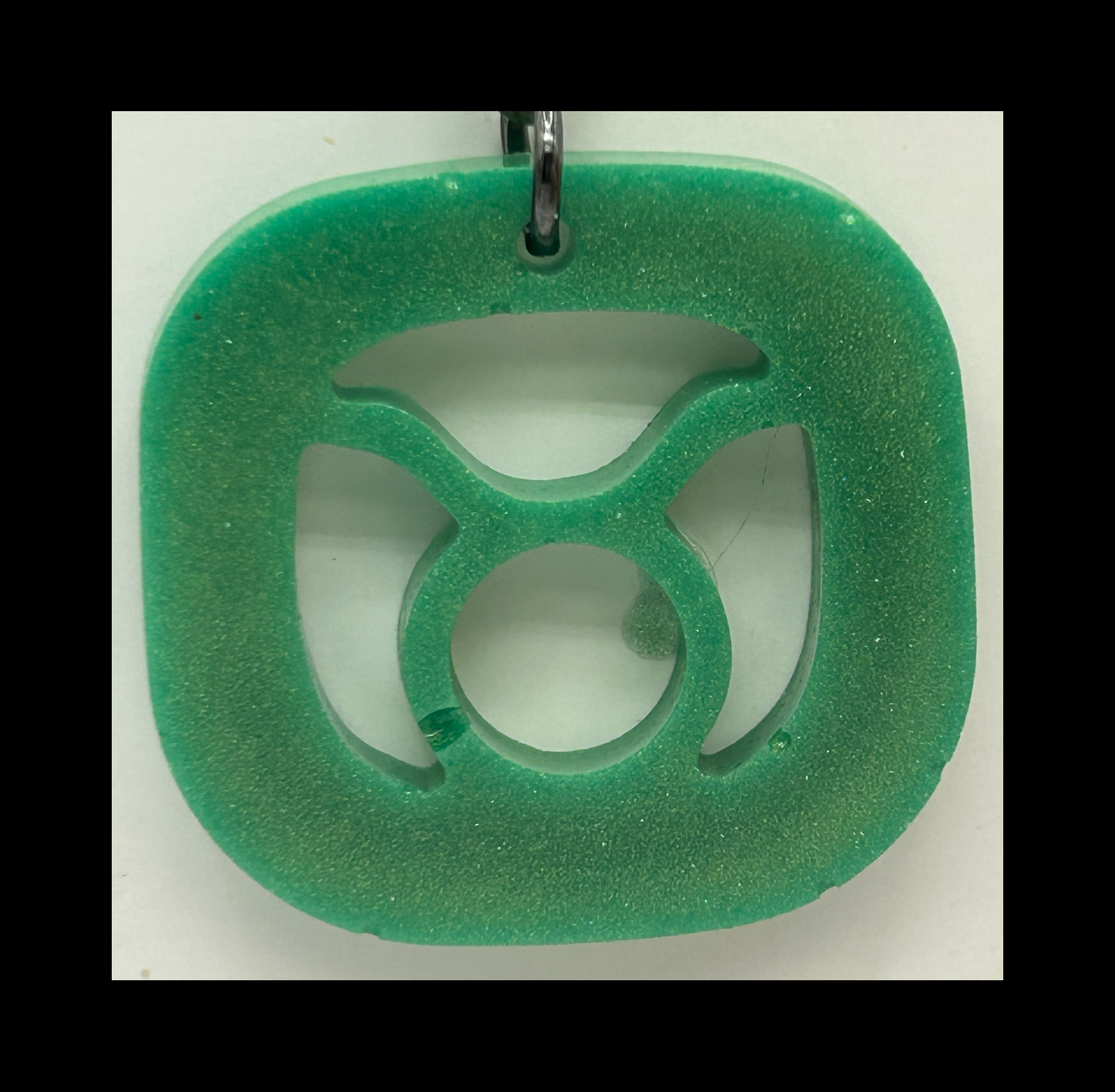 Moss resin zodiac Keychains