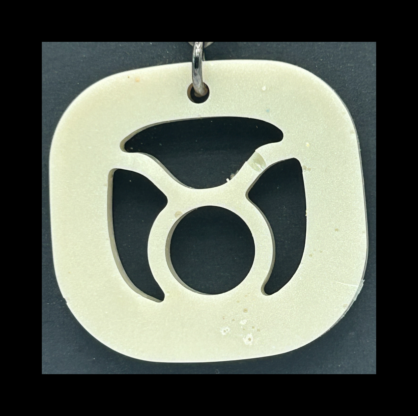 Ghost jungle resin zodiac keychains