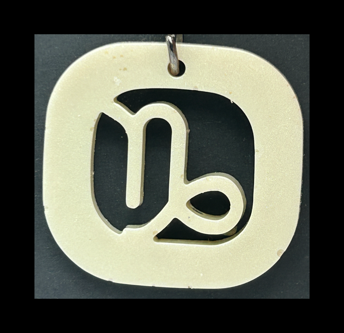 Ghost jungle resin zodiac keychains