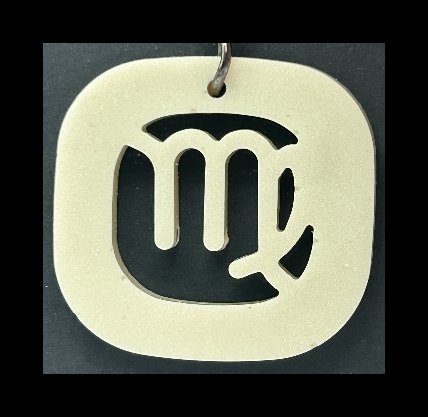 Ghost jungle resin zodiac keychains