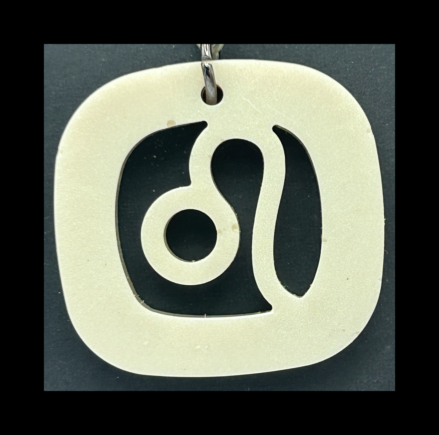 Ghost jungle resin zodiac keychains