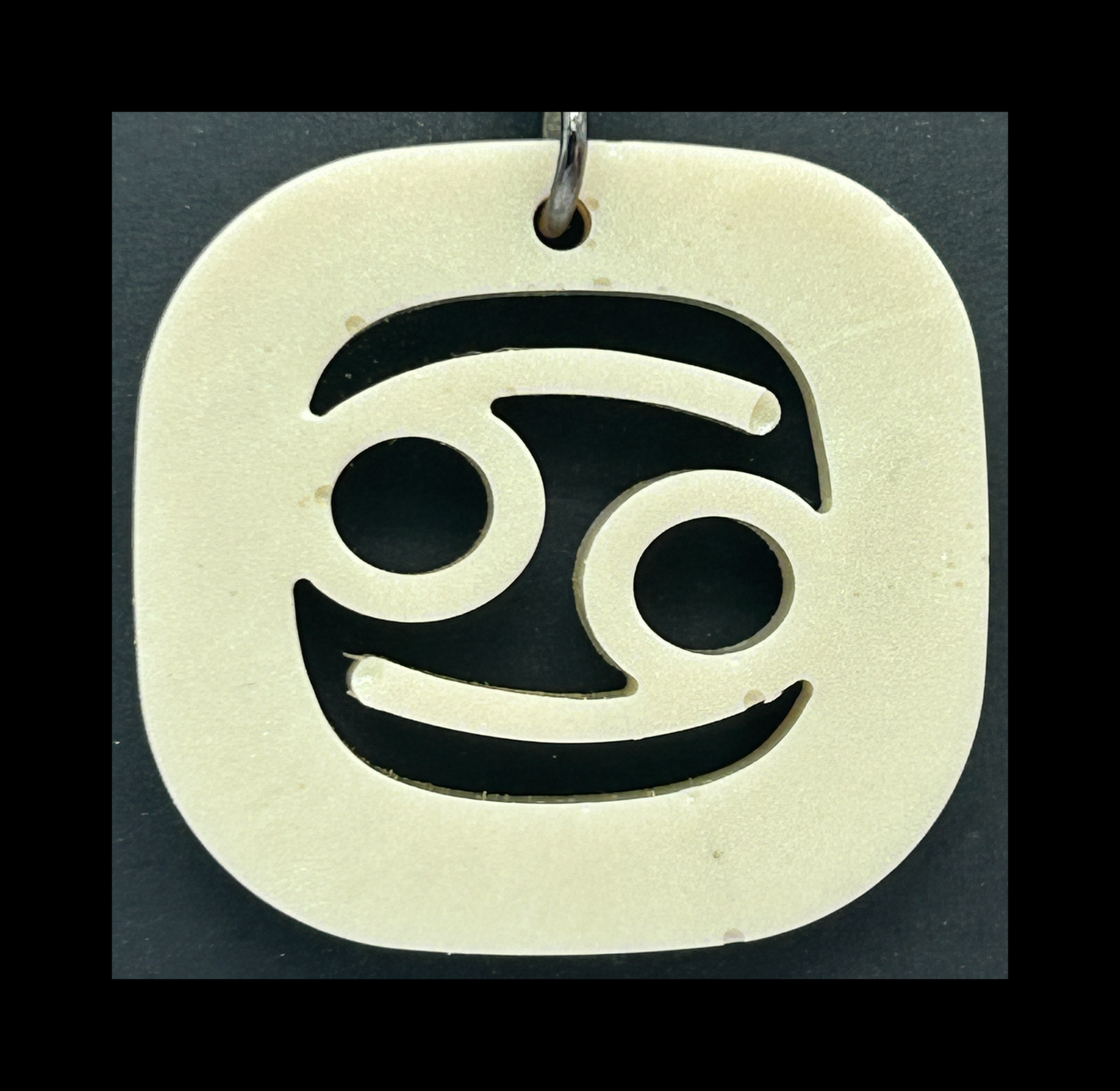 Ghost jungle resin zodiac keychains