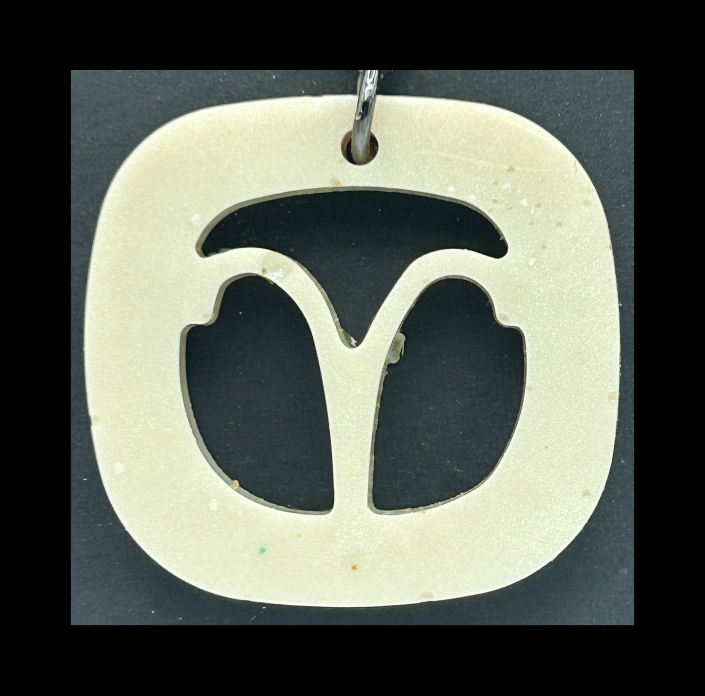 Ghost jungle resin zodiac keychains