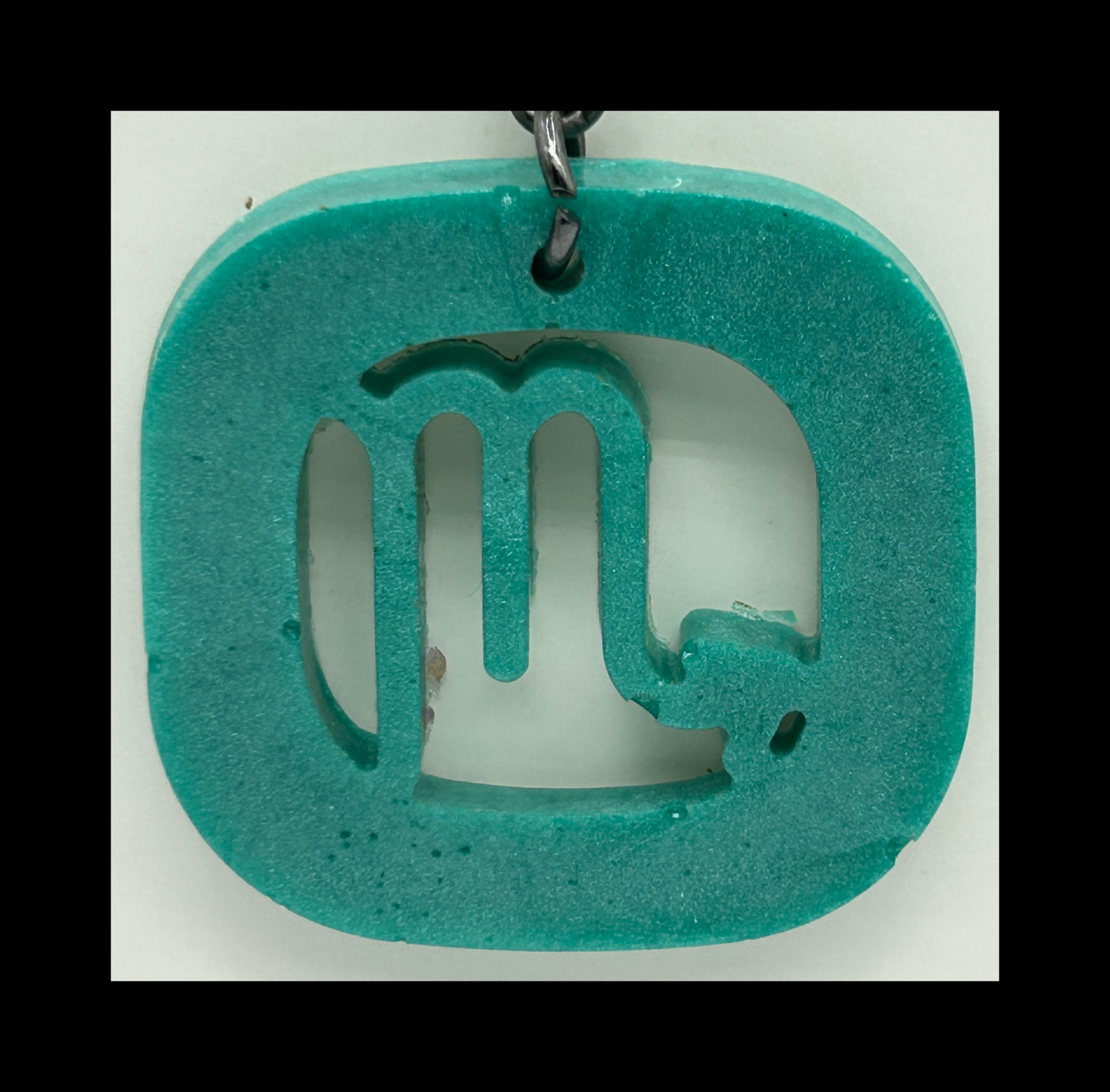 Tropical water resin zodiac Keychains