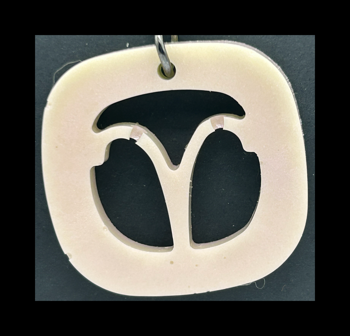 Ghost black resin zodiac keychains