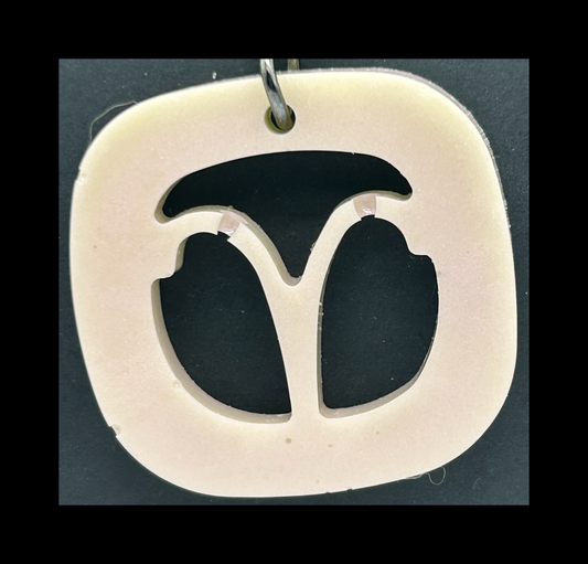 Ghost black resin zodiac keychains