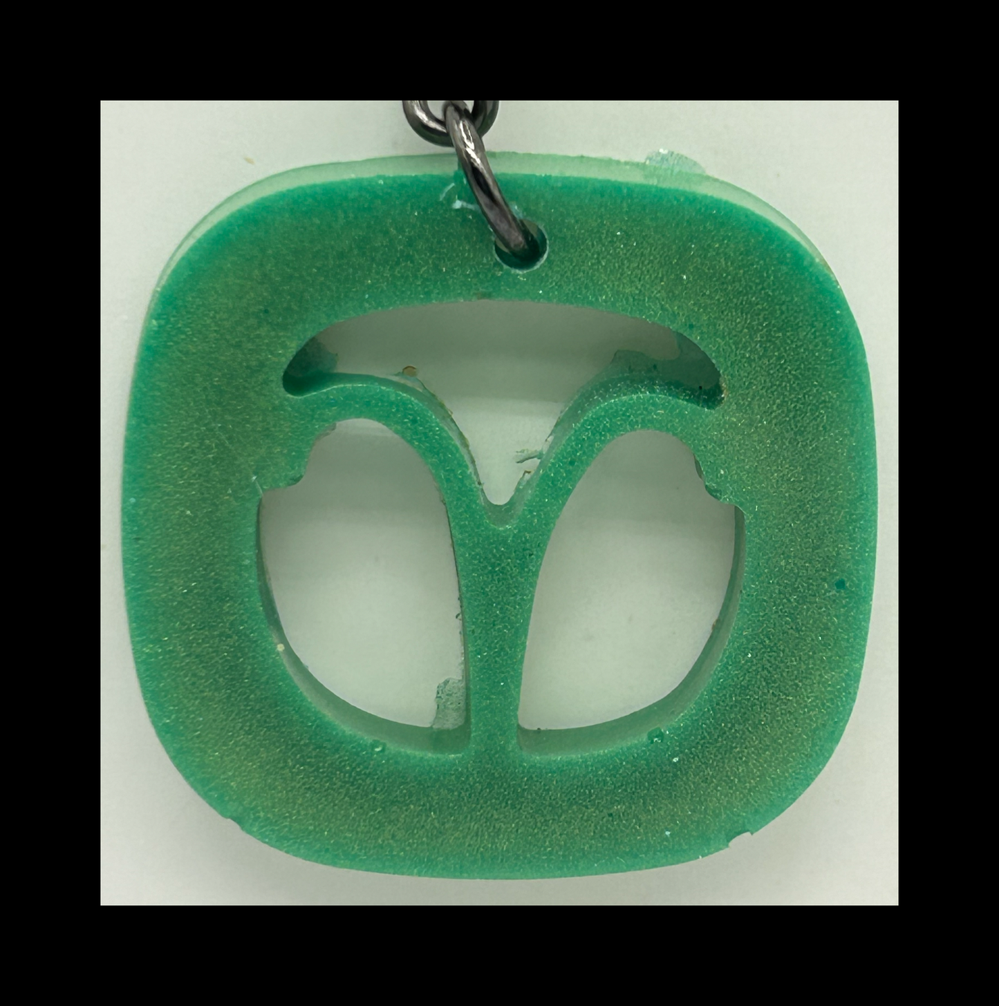 Moss resin zodiac Keychains