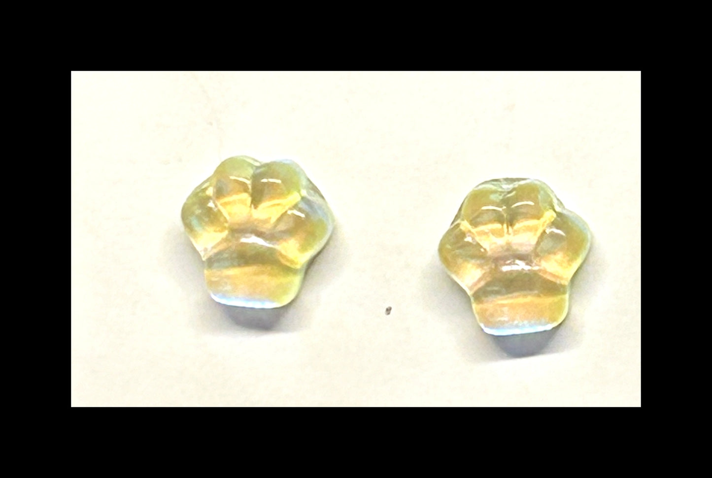 Pastel paw stud earrings